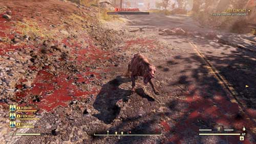 Ails Fallout 76